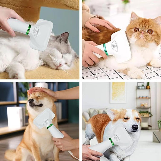 Pelaje Perfecto: Secador y Cepillo para Gatos y Perros